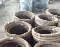 Galvanized Wire5